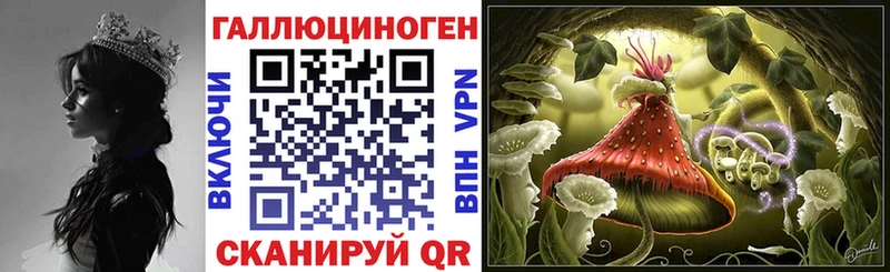 Купить закладки  Киреевск  Галлюциногенные грибы мицелий 